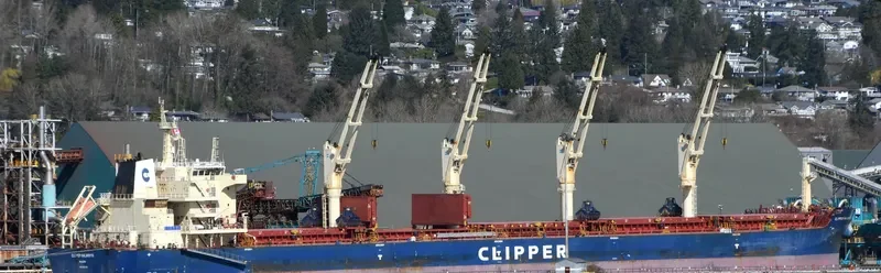 CLIPPER KALAVRYTA Bulk Carrier IMO 9663128 photo 7