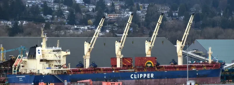 CLIPPER KALAVRYTA Bulk Carrier IMO 9663128 photo 8