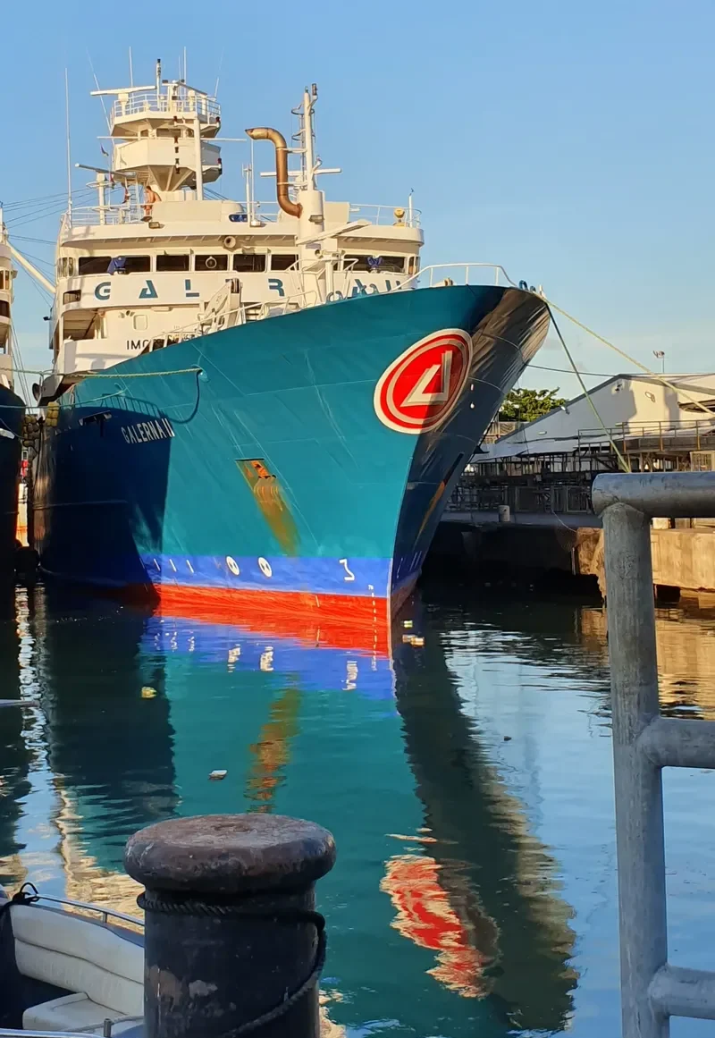 GALERNA II General Cargo IMO 9663154 photo 9