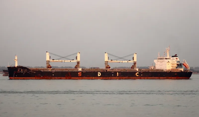 GUO TOU 107 Bulk Carrier IMO 9663178