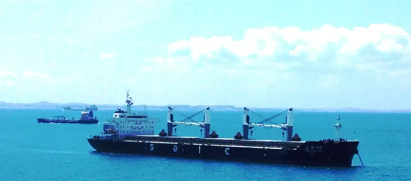 SHENG NING HAI Bulk Carrier IMO 9663180