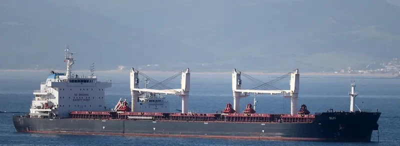 SUN Bulk Carrier IMO 9663233