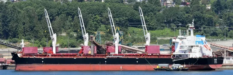 SUN Bulk Carrier IMO 9663233 photo 2