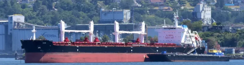 SUN Bulk Carrier IMO 9663233 photo 3