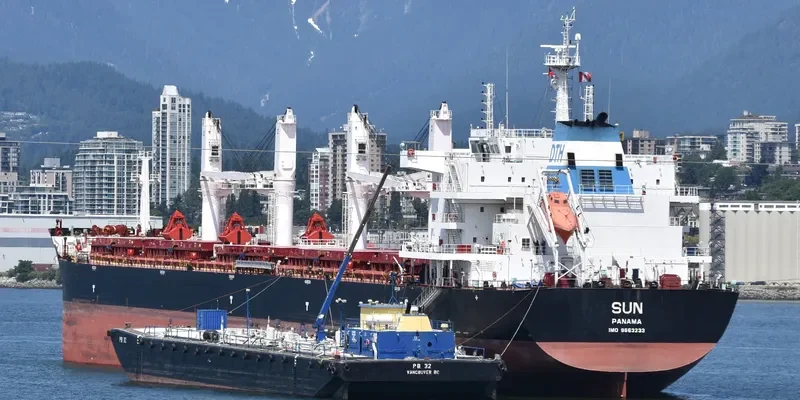 SUN Bulk Carrier IMO 9663233 photo 4