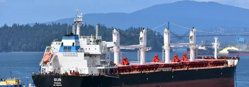 SUN Bulk Carrier IMO 9663233 photo 5