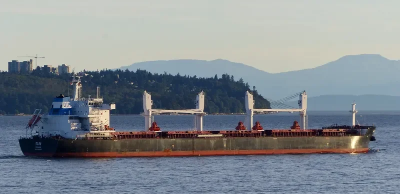 SUN Bulk Carrier IMO 9663233 photo 6