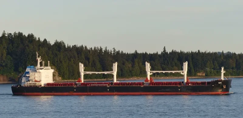 SUN Bulk Carrier IMO 9663233 photo 7