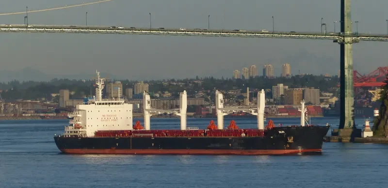 SUN Bulk Carrier IMO 9663233 photo 8