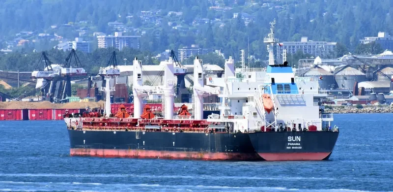 SUN Bulk Carrier IMO 9663233 photo 9
