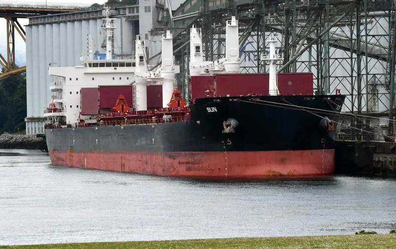 SUN Bulk Carrier IMO 9663233 photo 10