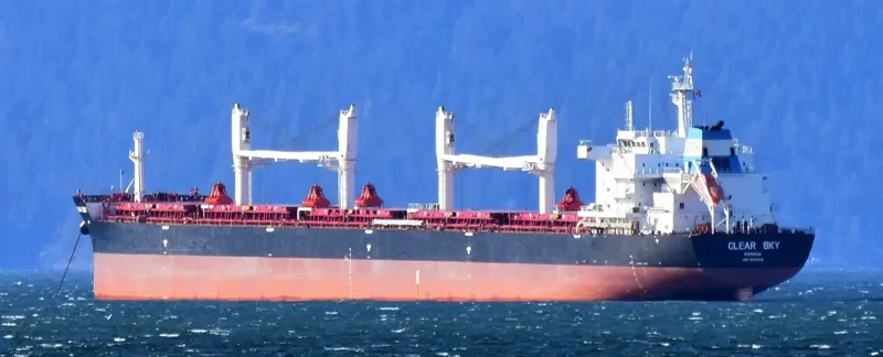CLEAR SKY Bulk Carrier IMO 9663245 photo 4
