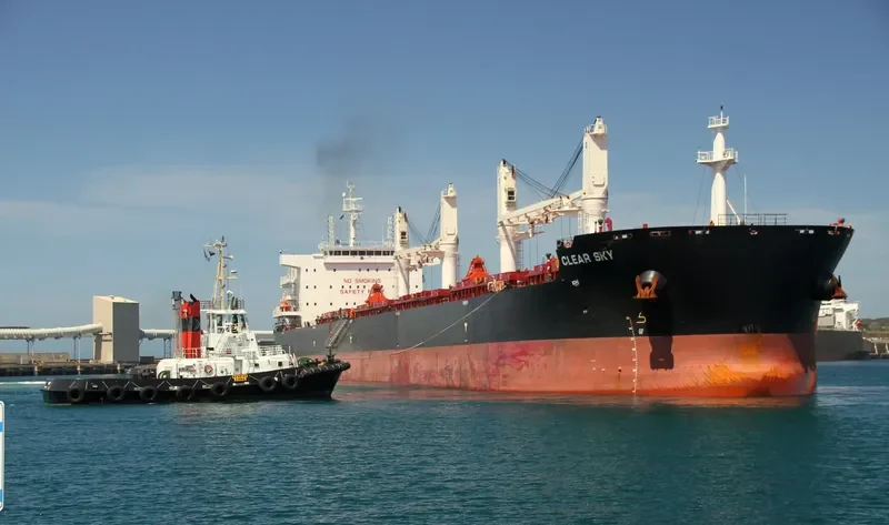 CLEAR SKY Bulk Carrier IMO 9663245 photo 8