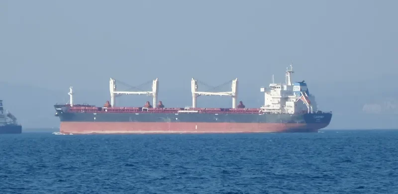 CLEAR SKY Bulk Carrier IMO 9663245 photo 9