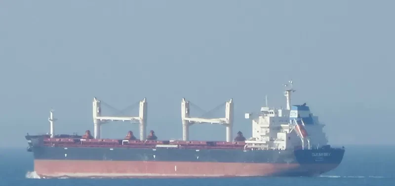 CLEAR SKY Bulk Carrier IMO 9663245 photo 10