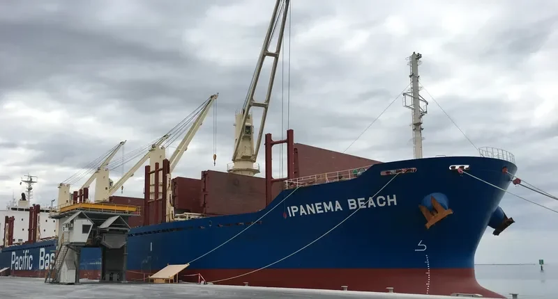 IPANEMA BEACH Bulk Carrier IMO 9663269