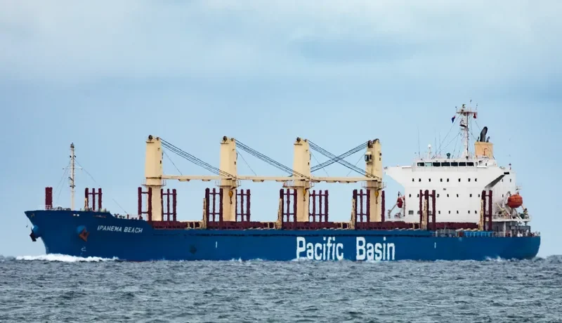 IPANEMA BEACH Bulk Carrier IMO 9663269 photo 2