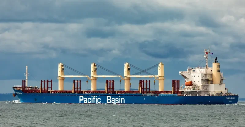 IPANEMA BEACH Bulk Carrier IMO 9663269 photo 3