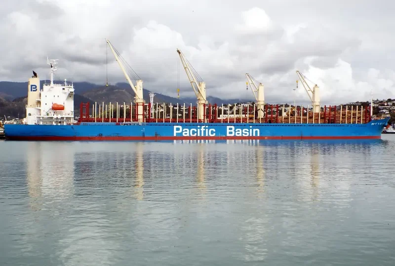 IPANEMA BEACH Bulk Carrier IMO 9663269 photo 5