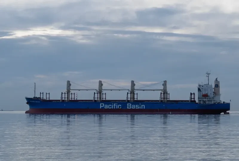 IPANEMA BEACH Bulk Carrier IMO 9663269 photo 6