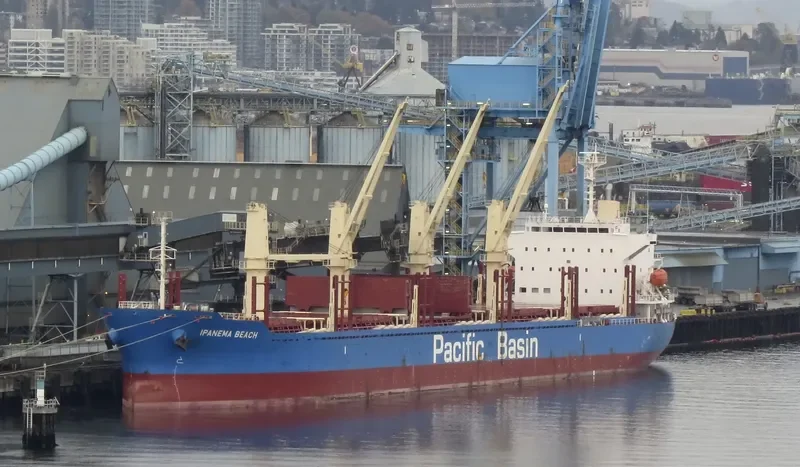 IPANEMA BEACH Bulk Carrier IMO 9663269 photo 8