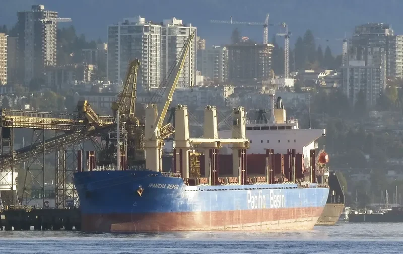 IPANEMA BEACH Bulk Carrier IMO 9663269 photo 9