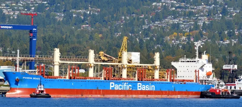 IPANEMA BEACH Bulk Carrier IMO 9663269 photo 10