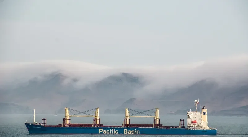ISLAND BAY Bulk Carrier IMO 9663283 photo 2