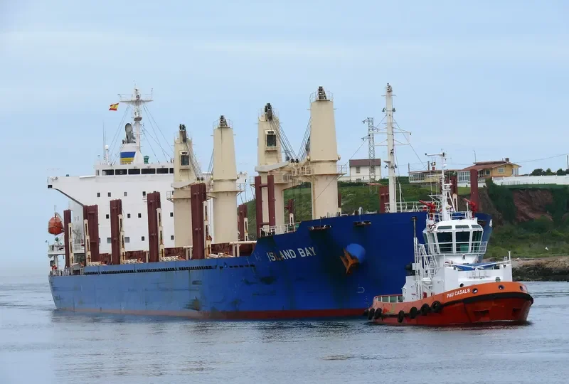ISLAND BAY Bulk Carrier IMO 9663283 photo 3