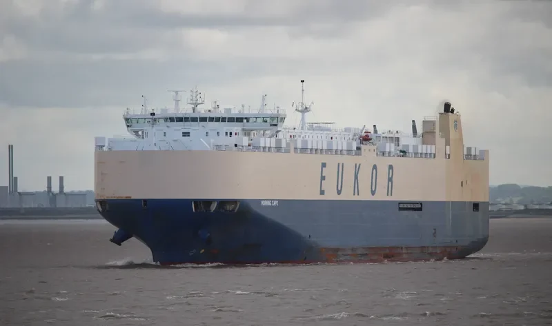 MORNING CAPO General Cargo IMO 9663295 photo 2