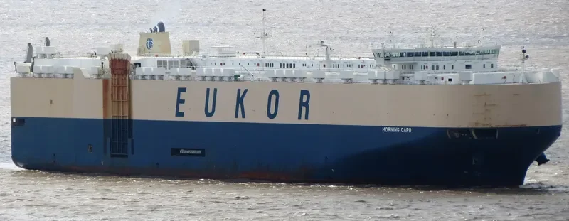 MORNING CAPO General Cargo IMO 9663295 photo 9