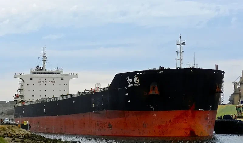 PEACE GARDEN Bulk Carrier IMO 9663336