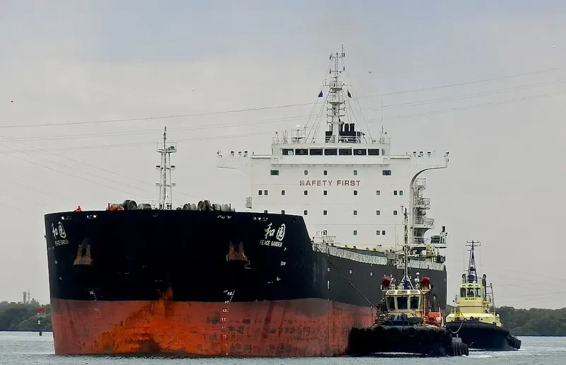 PEACE GARDEN Bulk Carrier IMO 9663336 photo 2