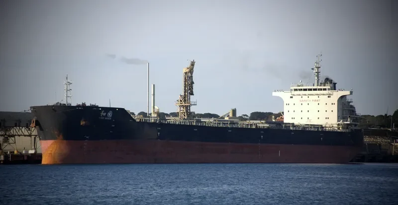 PEACE GARDEN Bulk Carrier IMO 9663336 photo 4
