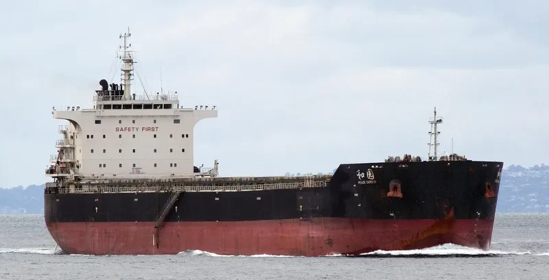 PEACE GARDEN Bulk Carrier IMO 9663336 photo 5