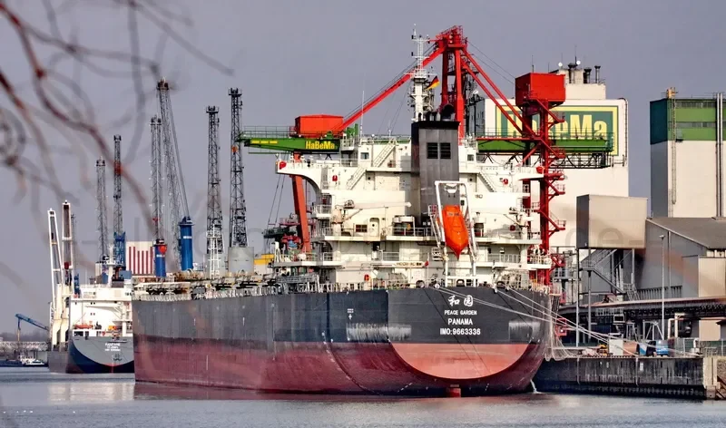 PEACE GARDEN Bulk Carrier IMO 9663336 photo 9