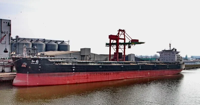 PEACE GARDEN Bulk Carrier IMO 9663336 photo 10