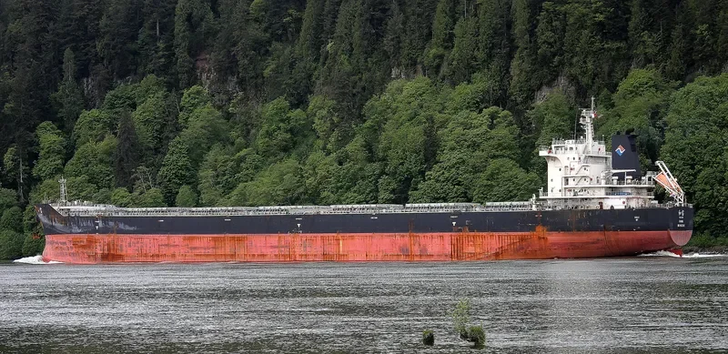 PEACE GEM Bulk Carrier IMO 9663348