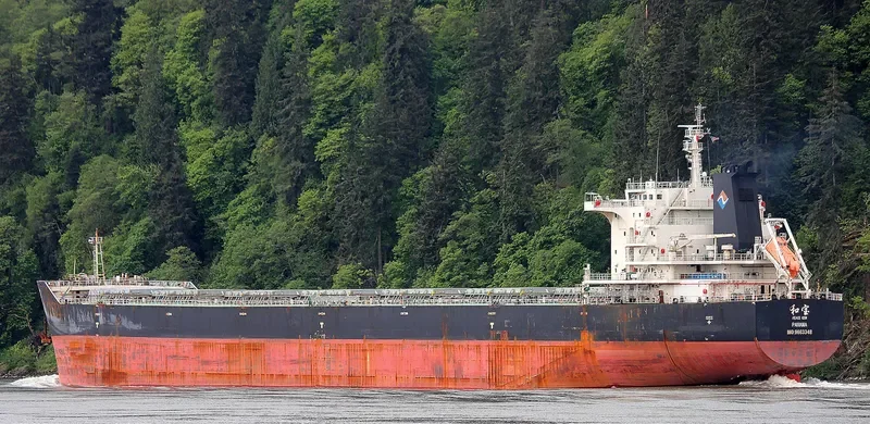 PEACE GEM Bulk Carrier IMO 9663348 photo 2