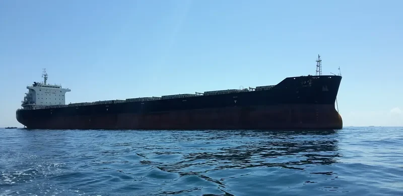 PEACE GEM Bulk Carrier IMO 9663348 photo 3