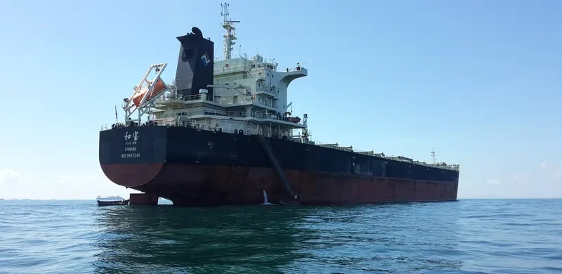 PEACE GEM Bulk Carrier IMO 9663348 photo 4
