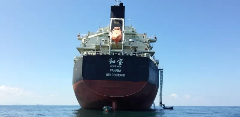 PEACE GEM Bulk Carrier IMO 9663348 photo 5