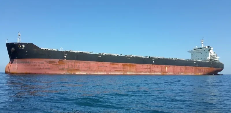 PEACE GEM Bulk Carrier IMO 9663348 photo 6