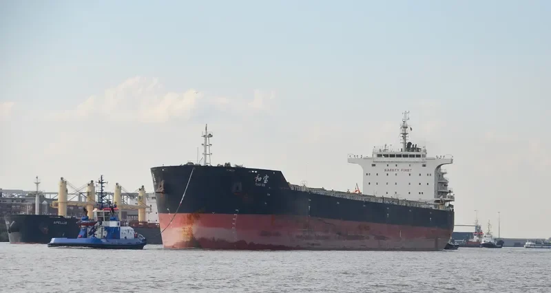 PEACE GEM Bulk Carrier IMO 9663348 photo 7