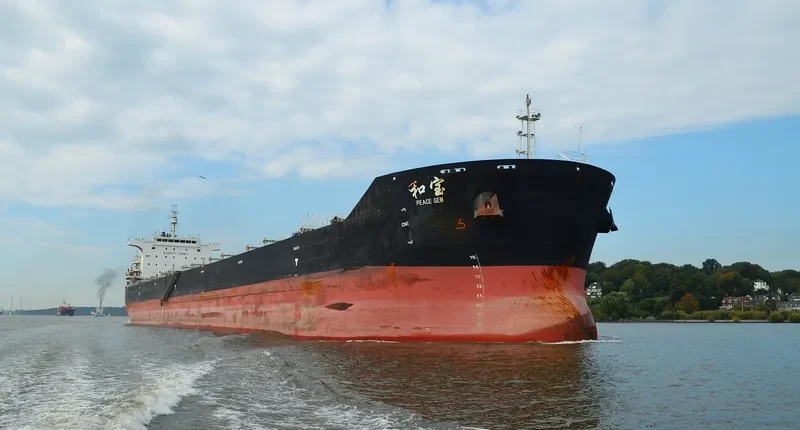PEACE GEM Bulk Carrier IMO 9663348 photo 8