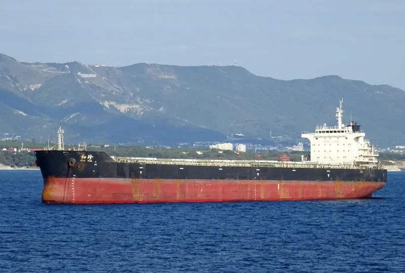 PEACE PEARL Bulk Carrier IMO 9663350