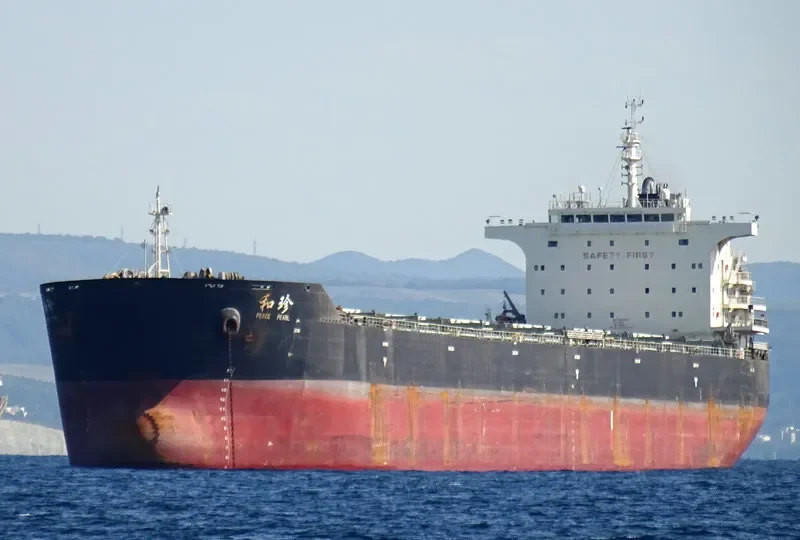 PEACE PEARL Bulk Carrier IMO 9663350 photo 2