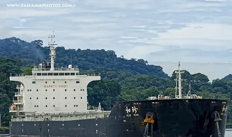 PEACE PEARL Bulk Carrier IMO 9663350 photo 3