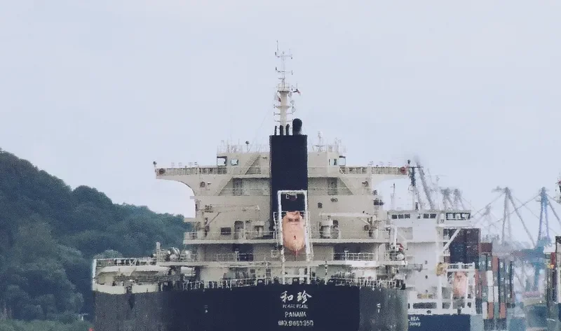 PEACE PEARL Bulk Carrier IMO 9663350 photo 5