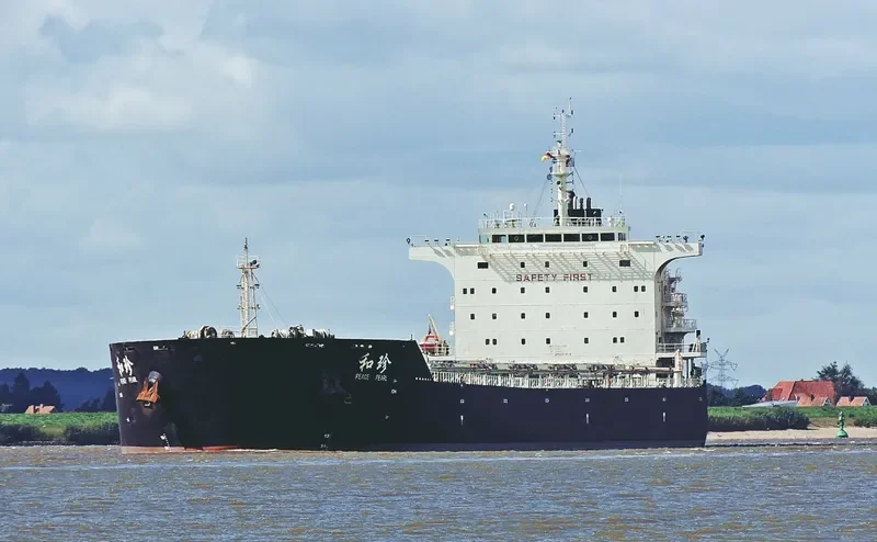 PEACE PEARL Bulk Carrier IMO 9663350 photo 6